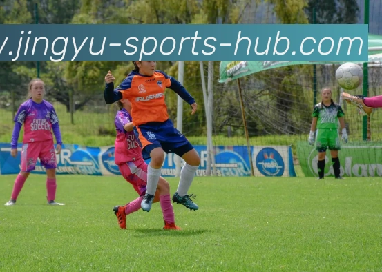 鲸鱼体育平台生态图